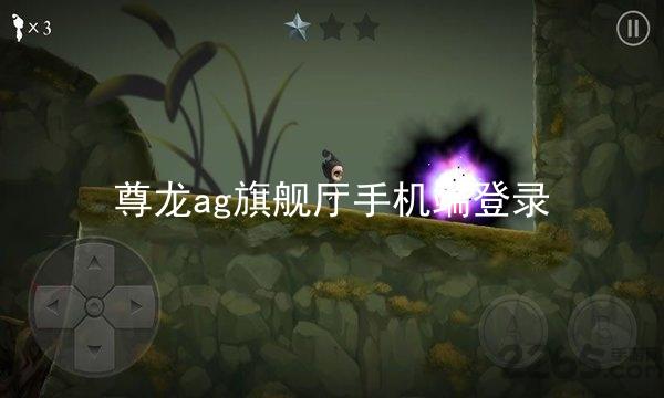 尊龙ag旗舰厅手机端登录